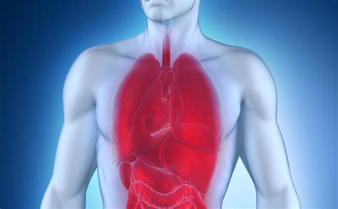 What is Lung Volume? (with pictures)