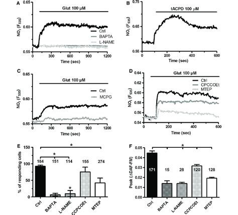 Glutamate Induced No Release In Hcmecd3 Cells Through The Stimulation