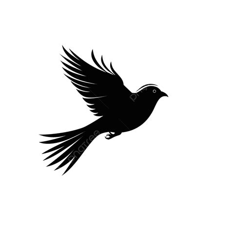 Bird Flying Sparrow Silhouette Sparrow Bird Silhouette PNG