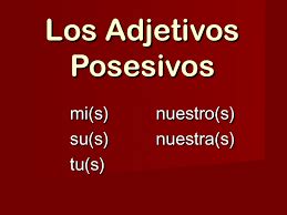 Adjetivos Posesivos Adjetivos Posesivos Diagram Quizlet