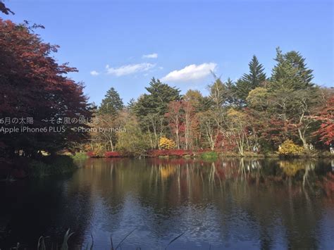 6 軽井沢で楽しむ雲場池の紅葉