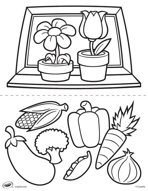 Crayola Canada | Flowers and Veggies Colouring Page