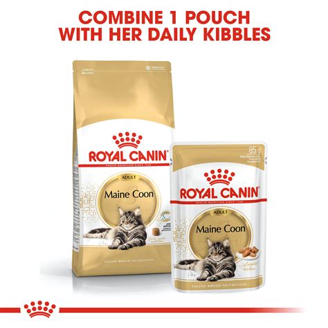 Maine Coon Adult Cat Food Royal Canin Shop Royal Canin Uk