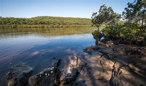 Karuah National Park | NSW National Parks