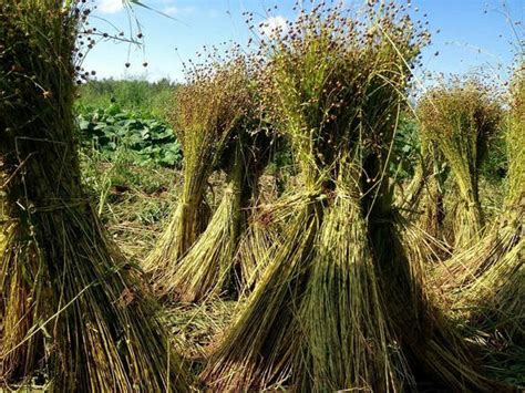 largos flax spinning mill part  vintage lundin links  largo