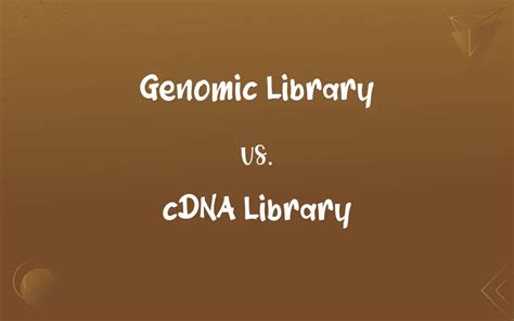 Genomic Library Vs Cdna Library Whats The Difference