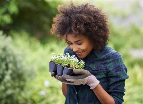 Flower Gardening For Beginners: A Quick and Easy Guide