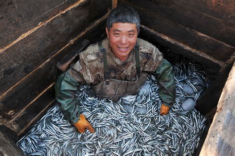 Photo Collection Chinese Fishermen Busy At Work China Plus