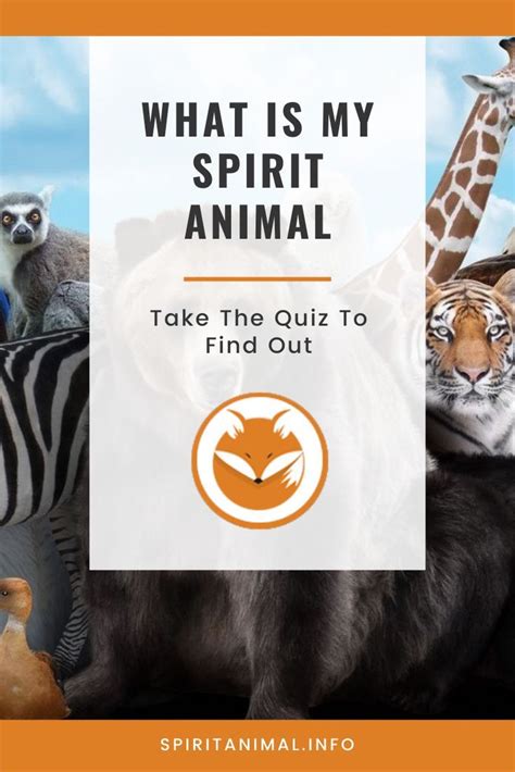 What is my spirit animal take the quiz to find out – Artofit