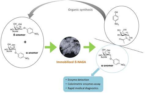 Catalysts Free Full Text Chemo Enzymatic Production Of 4