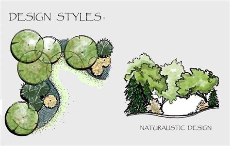 Plan view & elevation of shrubs | Landscape design drawings, Landscape design, Garden design plans