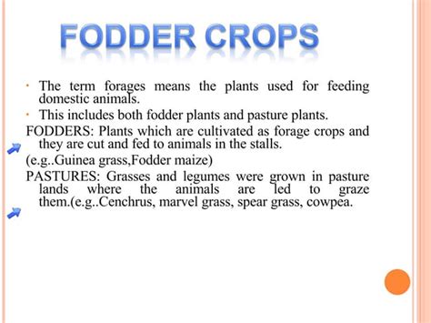 fodder crops | PPT