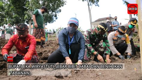 Bupati Eka Wiryastuti Sebar Bibit Cabai Dan Benih Ikan KabarBaliHits