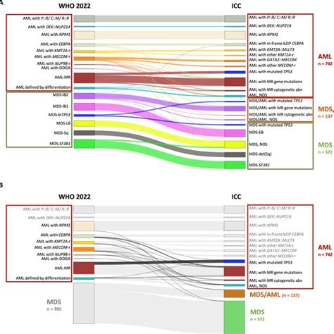 OS Of AML Patients According To ELN Risk Classifications OS Of AML