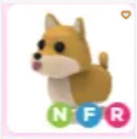 Nfr Shiba Inu Roblox Adopt Me