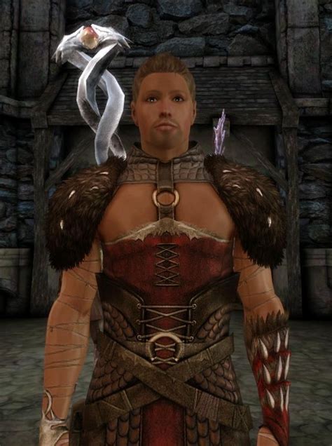 Reverend80 Secret Order Mage Robe At Dragon Age Origins Mods And