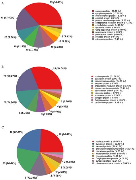 Subcellular Localization Analysis Of Differentially Expressed Proteins