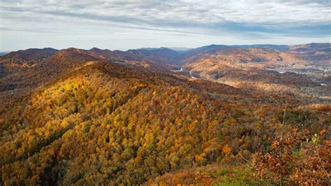 Pristine Kentucky Fern Lake To Become Part Of Cumberland Gap