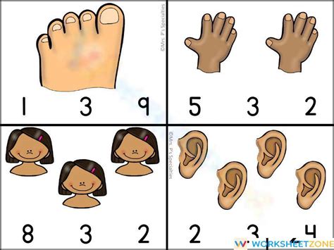 Body Parts Counting Worksheet