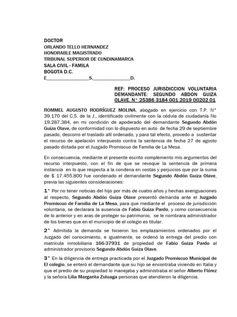 202sustentacion Recurso Apelacion Pdf Sentencia Ley Demanda