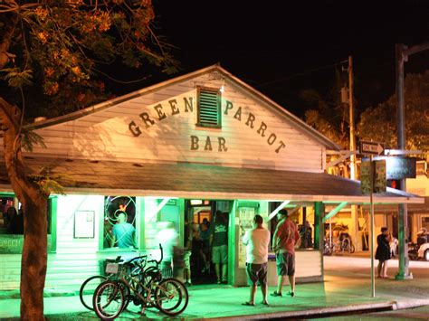 Green Parrot — Florida Beach Bar