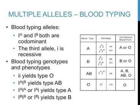 Punnett Square Multiple Alleles