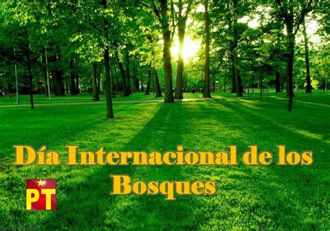 Imágenes para compartir del día internacional de los bosques Imágenes