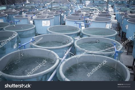 Agriculture Aquaculture Water System Farm Stock Photo Edit Now 91272257