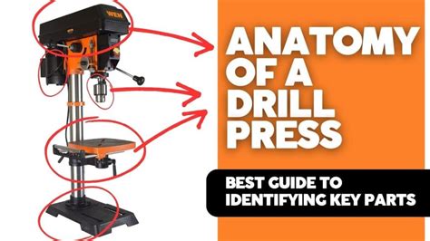 Anatomy Of A Drill Press Best Guide To Identifying Key Parts