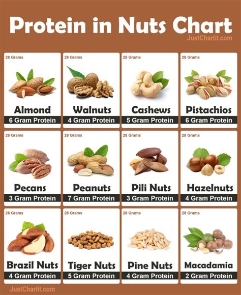 Protein In Nuts Dry Fruits Chart