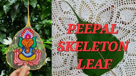 Peepal Skeleton Leaf Art Diy Leaf Skeleton Peepal Leaf Art Ganesha