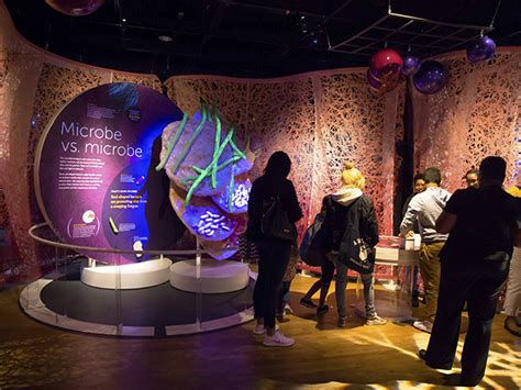 NC Museum of Natural Sciences to reveal The Secret World Inside You ...