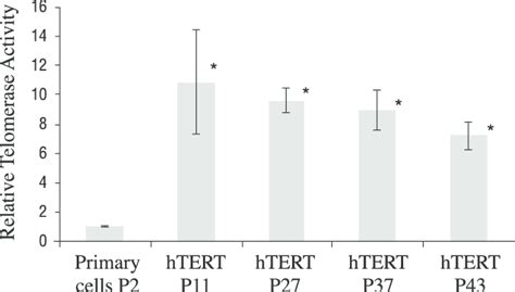 Real Time Pcr Quantitative Telomerase Activity Telomerase Activity In