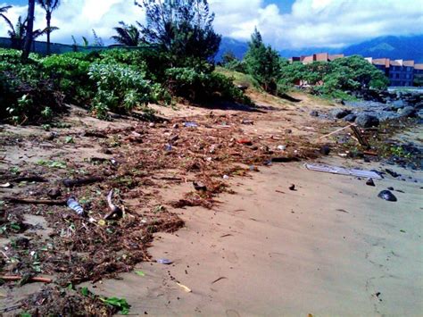 Maui Tsunami Update - Kahului Harbor Gets a Wash Down - Hawaii Real ...