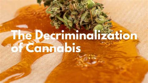 The Decriminalization Of Cannabis A Paradigm Shift In Drug Policy