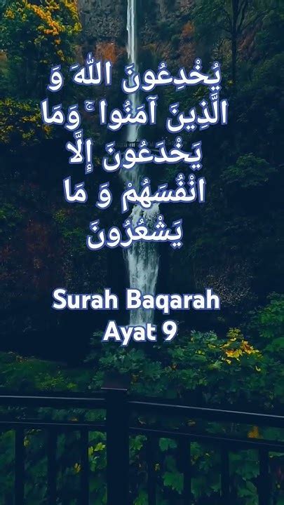 Surah Baqarah Ayat 9 Islamlove Youtubeshorts Shortsvideo