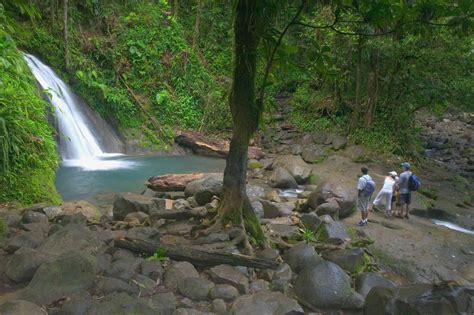 Top Things To Do In Guadeloupe