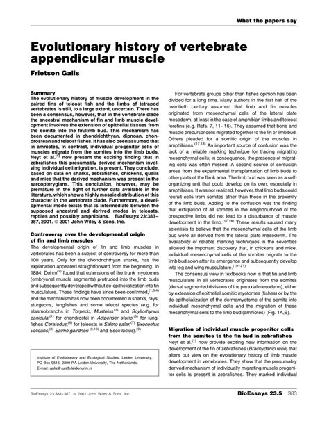 Pdf Evolutionary History Of Vertebrate Appendicular Muscle