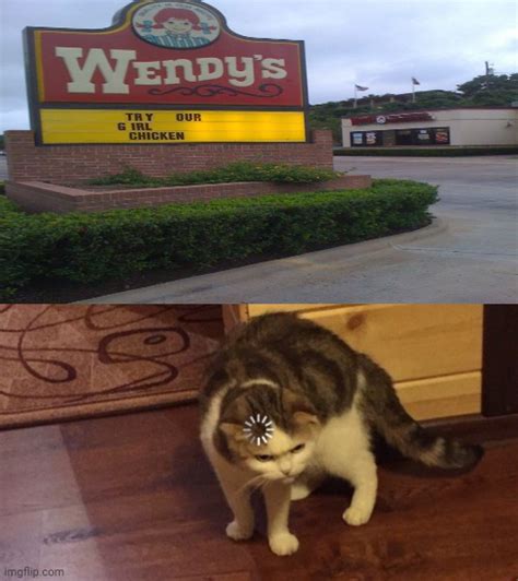 Wait What Wendys Restaurant Sign Try Our Girl Chicken Imgflip