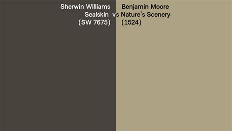 Sherwin Williams Sealskin SW 7675 Vs Benjamin Moore Nature S Scenery