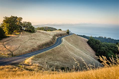 Mount Tamalpais Pictures | Download Free Images on Unsplash