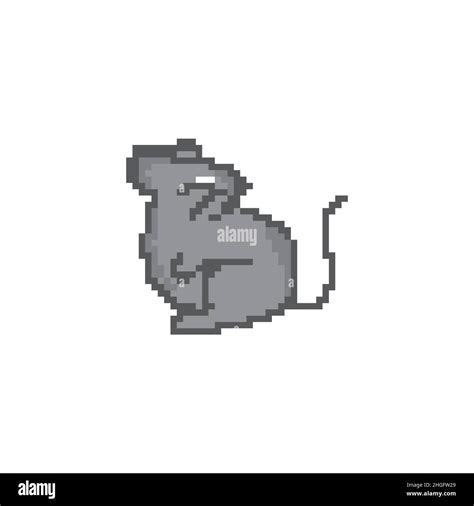 Pixel Art Gray Rat Sitting On The Ground Isolated On White Backgroundeps 10 Stock Vector Image