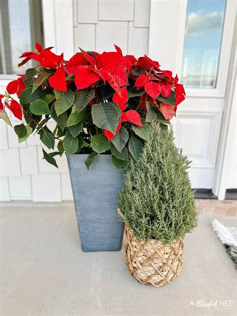 Christmas Planters For Front Porch A Blissful Nest