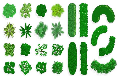 Top View Bushes And Trees Graphic By Winwin Artlab Creative Fabrica