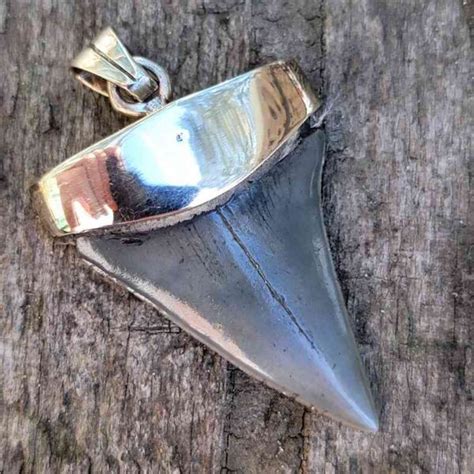 Silver Plated Extinct Great White Shark Tooth Pendants