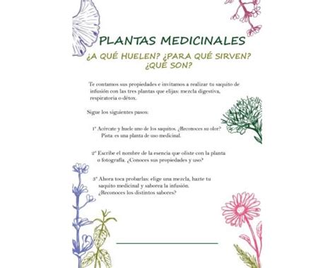 Fichas De Plantas Medicinales 2025 ️ Descarga 100 Gratuita