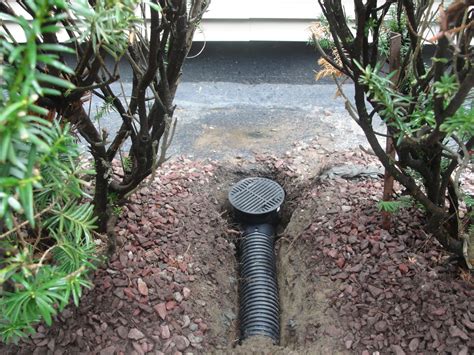 Catch Basins Yard Drains Albany Schenectady Ny Landscape Drainage