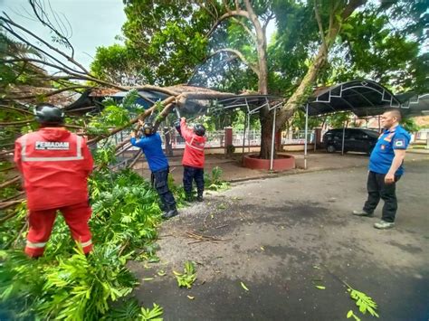 Pohon Tumbang Timpa Garasi Gedung Dprd Kuningan Hingga Pengendara Motor