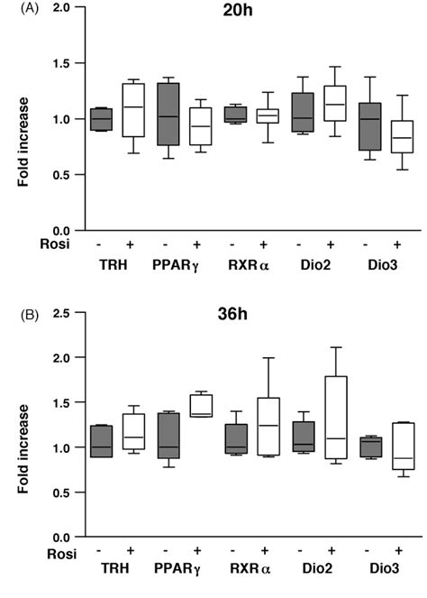 Pdf Peroxisome Proliferator Activated Receptor γ Pparγ Modulates