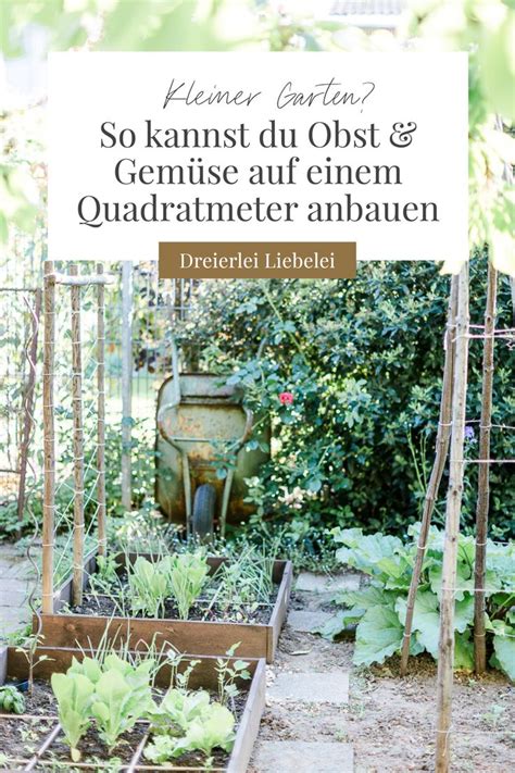 Ein Gemüsegarten auf einem Quadratmeter Square Foot Gardening